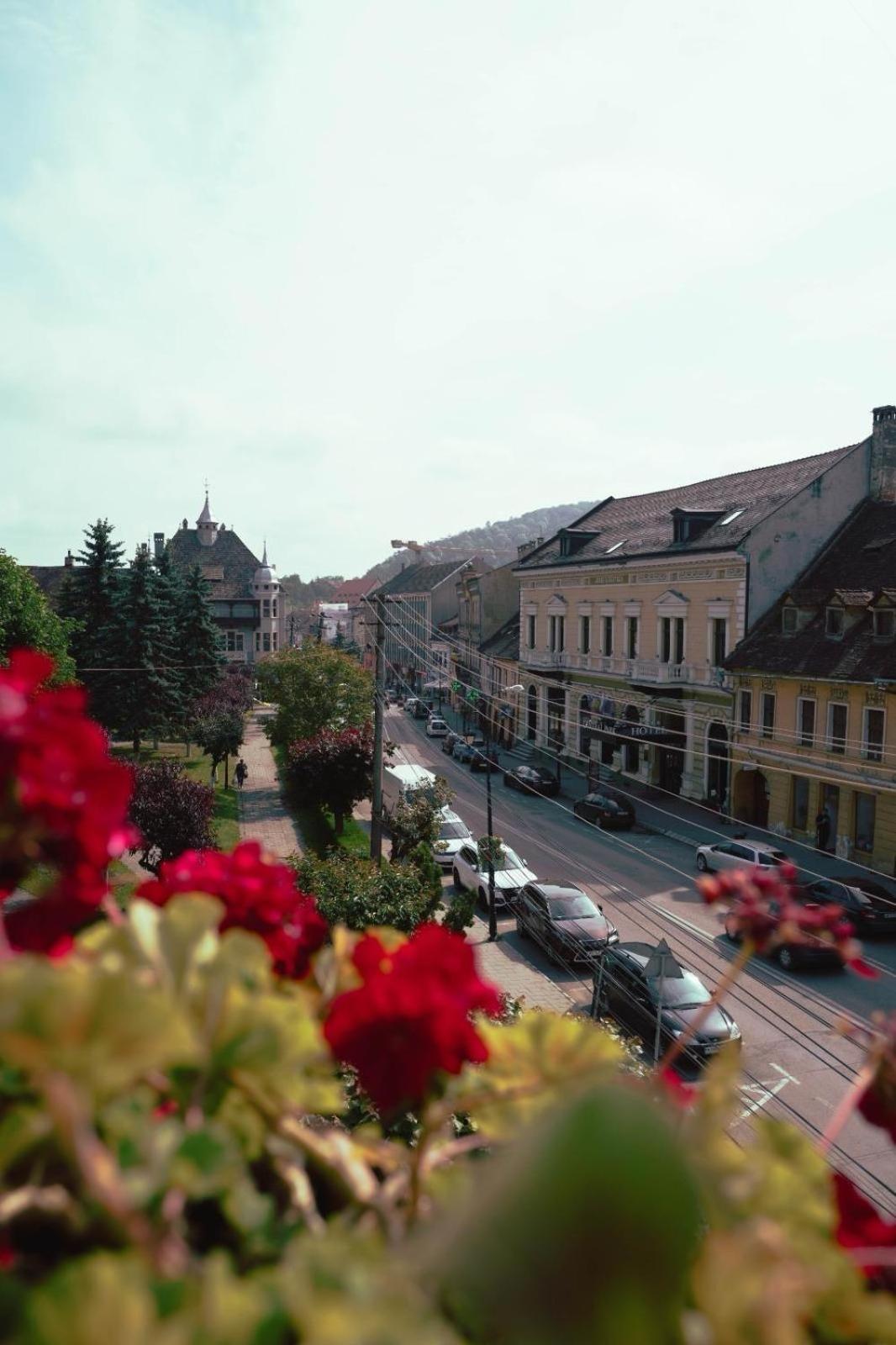 Pensiunea Gasthaus Alte Post Sighisoara Exterior photo
